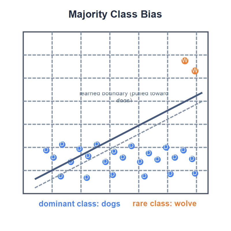 MajorityClassBias-800x800.png