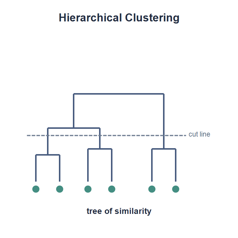 HierarchicalClustering-800x800.png
